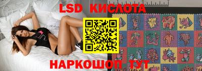 Альфа ПВП Будённовск
