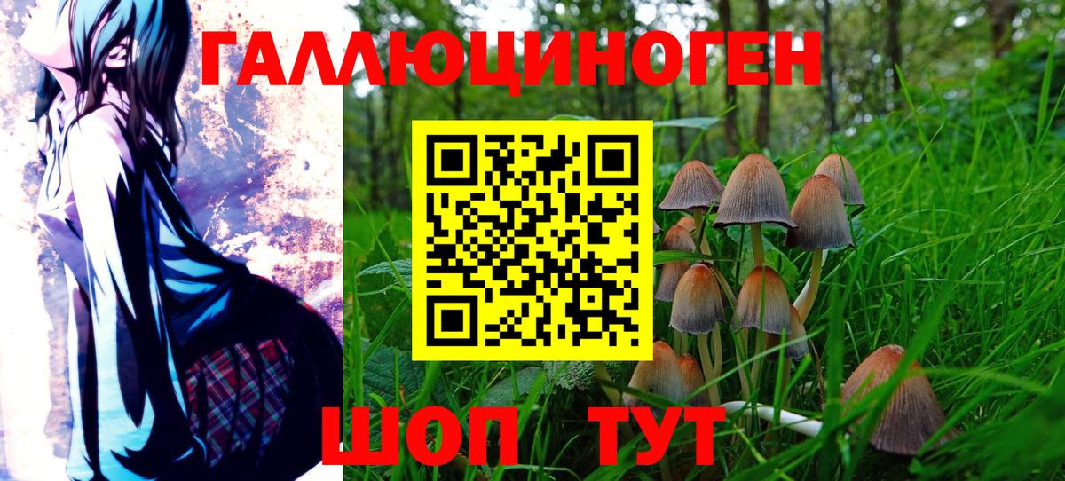 Галлюциногенные грибы ЛСД  Вход с VPN  Ноябрьск 