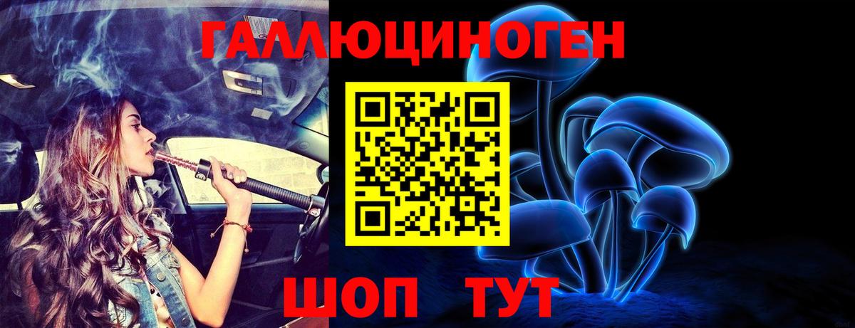 Псилоцибиновые грибы Cubensis Ноябрьск